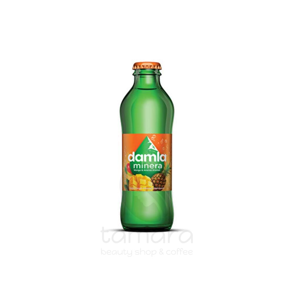 Damla Minera Mango Ananas Aromalı Gazlı İçecek 200 ml