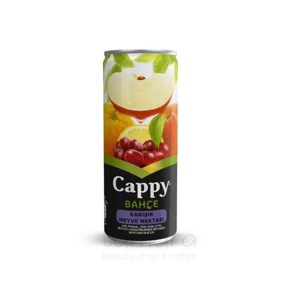 Cappy Bahçe Karışık Meyve Nektarı Kutu 250 Ml