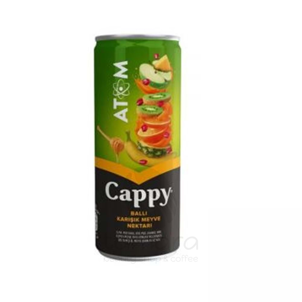 Cappy Atom Ballı Karışık Meyve Nektarı Kutu 250 Ml