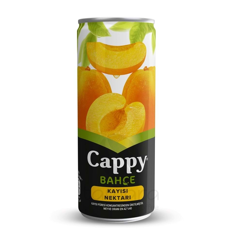 Cappy Bahçe Kayısı Meyve Nektarı 250 ML.