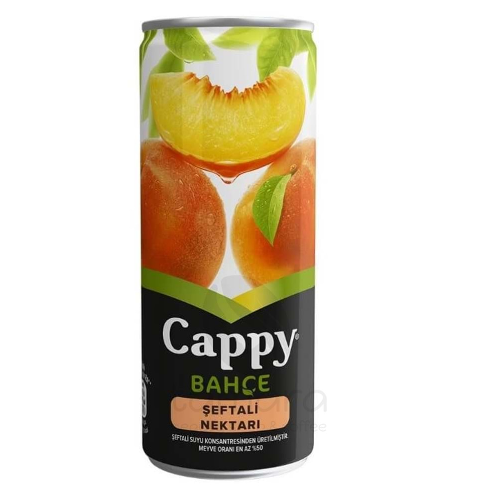 Cappy Bahçe Şeftali Nektari Kutu 250 Ml