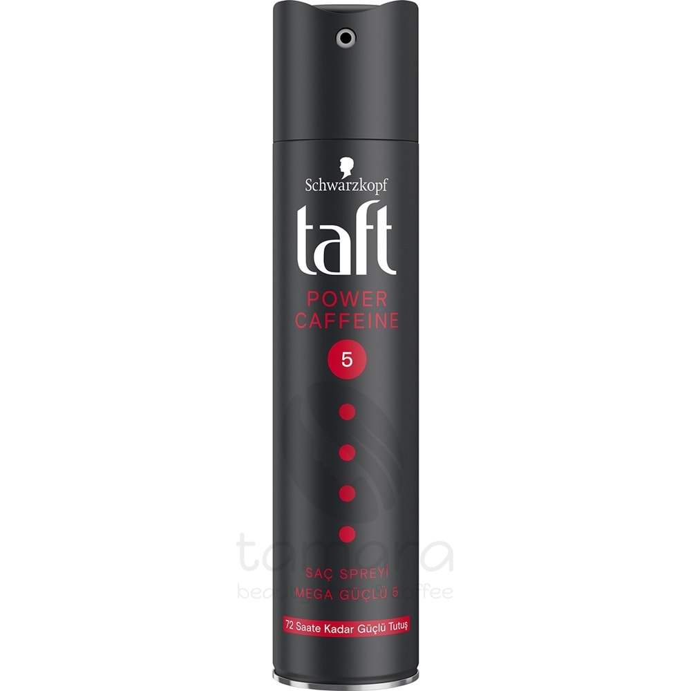 Taft Power Kafein Sprey 250 Ml Kalıcı Tutuş Saç Spreyi