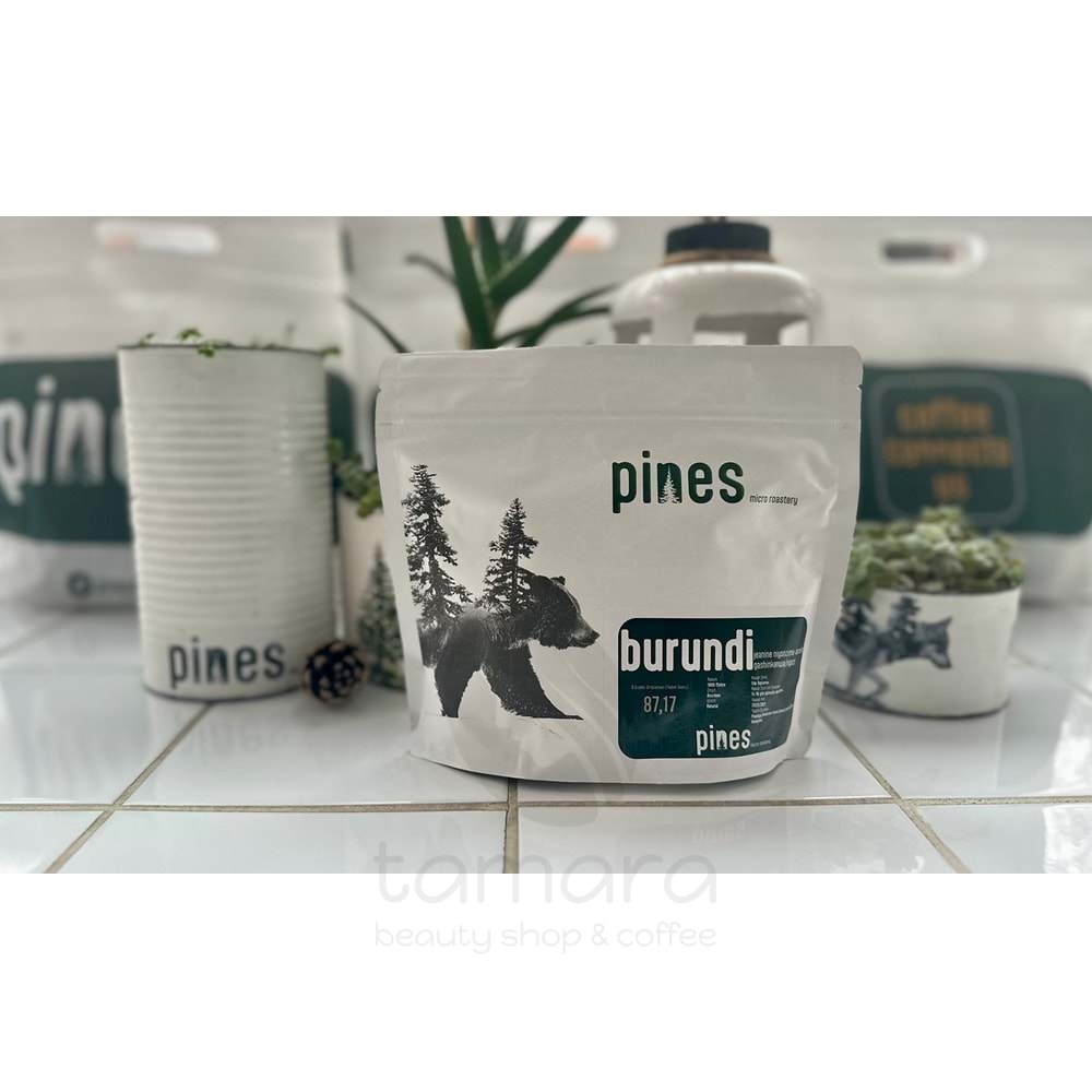 Pines Micro Roastery - Burundi Gashinkanwa Filtre Çekirdek Kahve