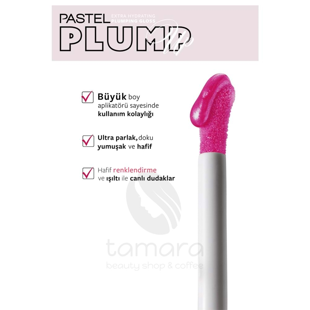 Pastel Plump Up Dolgunlaştıran Dudak Parlatıcısı 207 Mariposa & Lip To Cheek Tint Carmen5.3 ml - 9.6 ml