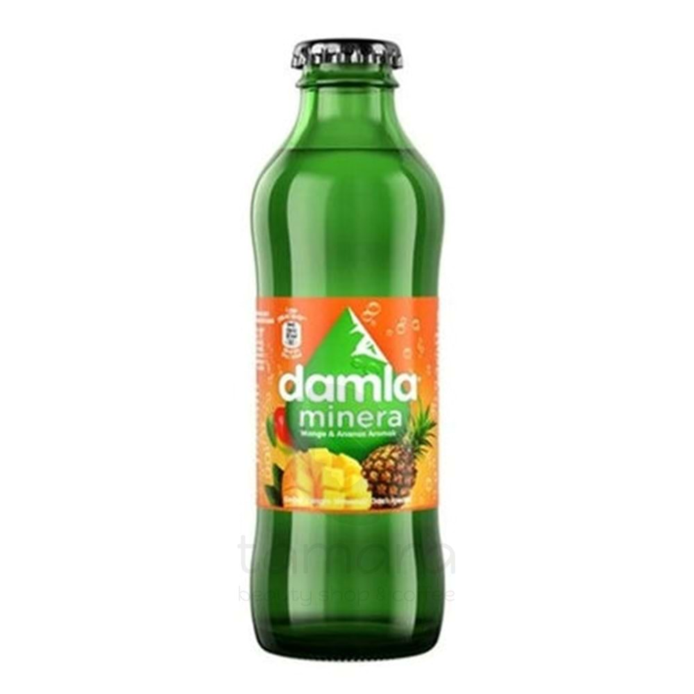 Damla Minera Mango Ananas Aromalı Gazlı İçecek 200 ml. 1 Adet