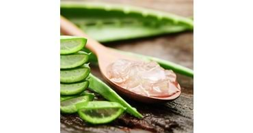 Aloe Vera Bitkisi Nedir ve Cilde Faydaları Nedir?