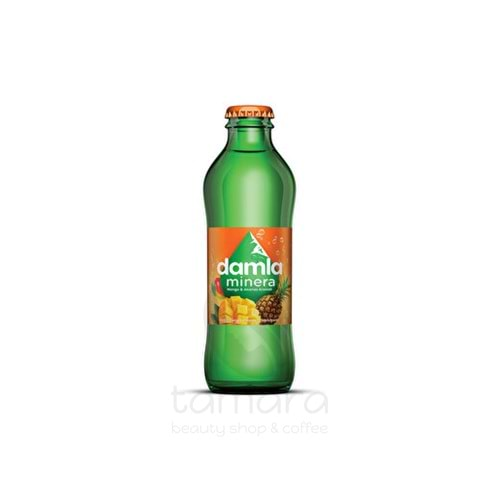 Damla Minera Mango Ananas Aromalı Gazlı İçecek 200 ml