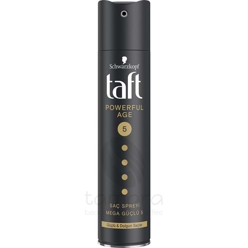 Taft Powerful Age Saç Sprey 250 ml