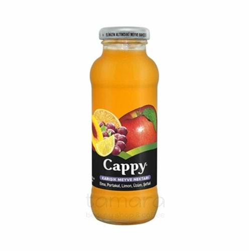 Cappy Mevye Suyu Cam Karışık 250 Ml