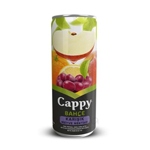 Cappy Bahçe Karışık Meyve Nektarı 330 ml. Kutu