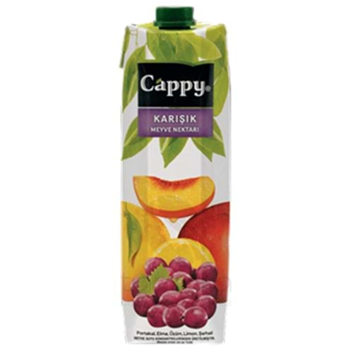 Cappy Karışık Meyve Nektarı 1 Lt