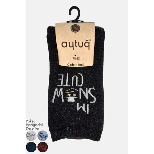 Aytuğ Kadın Havlu Soket Çorap 1 Adet - Asorti Renk