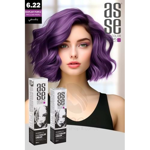 Asse 6.22 Patlıcan Moru - 60ml Tüp Boya