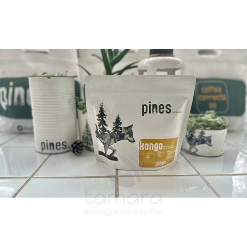Pines Micro Roastery - Kongo Buchiro Filtre Çekirdek Kahve