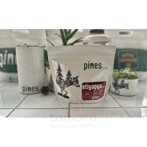 Pines Micro Roastery - Etiyopya Shantawene Filtre Çekirdek Kahve