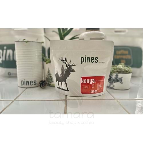 Pines Micro Roastery - Kenya Gitugu Filtre Çekirdek Kahve